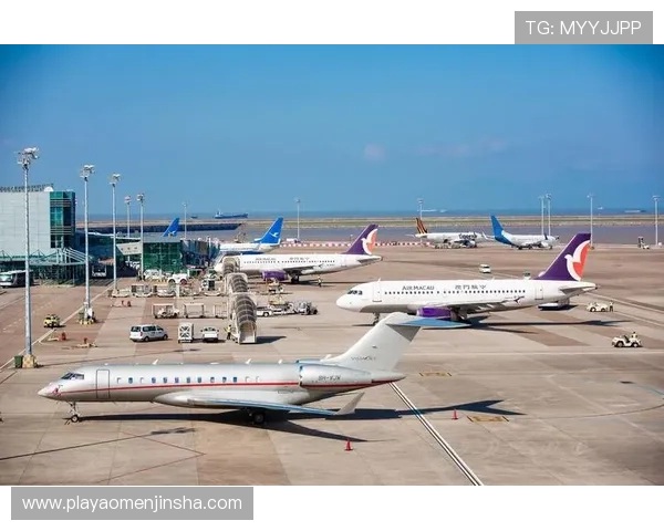 澳门总统国际官网多平台支持支持手机端与PC端无缝切换的使用体验